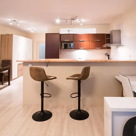 Apartment Vodni With Parking Brno Exterior photo